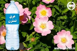 عرق نسترن (حجم بطری 1 لیتر می باشد)