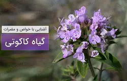 عرق کاکوتی  (حجم بطری 1 لیتر می باشد)