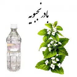 عرق بادرنجویه ( حجم بطری 1 لیتر می باشد)