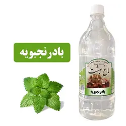 عرق بادرنجویه ( حجم بطری 1 لیتر می باشد)