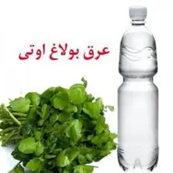 عرق بولاغ اوتی  (حجم بطری 1 لیتر می باشد.)