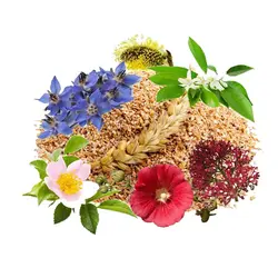 عرق معجون اعصاب (حجم بطری 1 لیتر می باشد)