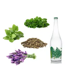 معجون چهار عرق سرد