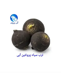 ترب سیاه VIP