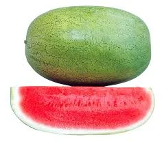 هندوانه جنوب (حداقل سفارش ۶ کیلوگرم)