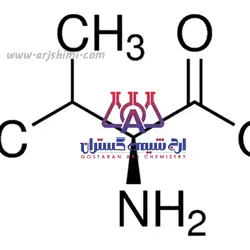 انواع آمینو اسید