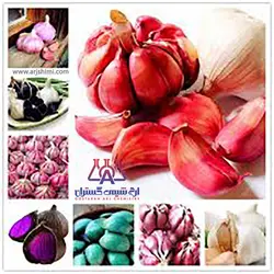 فروش اسانس موسیر