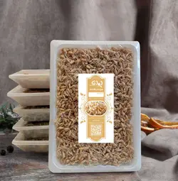 جوانه گندم