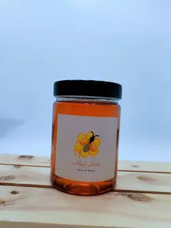 عسل طبیعی چندگیاه (1 کیلویی)