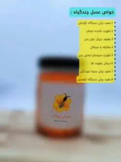 عسل طبیعی چندگیاه (1 کیلویی)