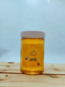 عسل طبیعی گون گز (1 کیلویی)