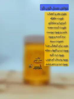 عسل طبیعی گون گز (1 کیلویی)