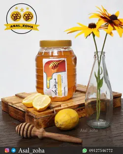 عسل طبیعی چندگیاه (2 کیلویی)