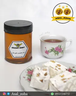 عسل طبیعی گون گز (500 گرم)