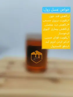 عسل طبیعی زول (2 کیلویی)