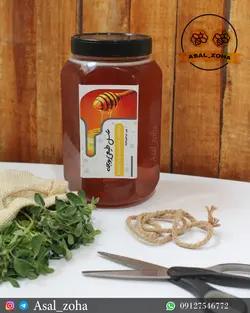 عسل طبیعی یونجه (2 کیلویی)