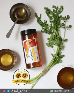 عسل طبیعی گشنیز (1 کیلویی)