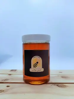 عسل طبیعی گشنیز (1 کیلویی)