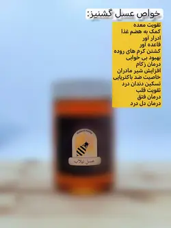 عسل طبیعی گشنیز (500 گرم)