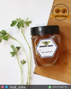 عسل طبیعی یونجه ویژه (500 گرم)