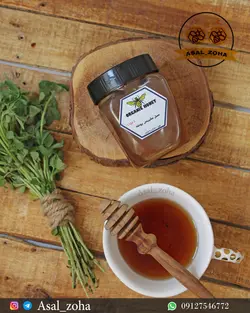عسل طبیعی یونجه ویژه (500 گرم)
