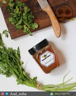 عسل طبیعی گشنیز ویژه (500 گرم)