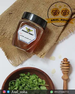 عسل طبیعی گشنیز ویژه (500 گرم)