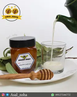 عسل طبیعی اکالیپتوس ویژه (500 گرم)