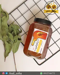 عسل طبیعی اکالیپتوس ویژه (2 کیلویی)