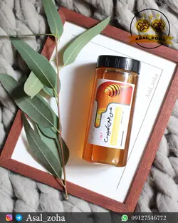 عسل طبیعی اکالیپتوس ویژه (1 کیلویی)