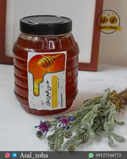 عسل طبیعی زول ویژه (2 کیلویی)