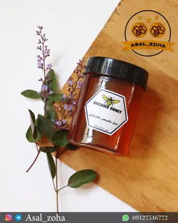 عسل طبیعی بهارنارنج (500 گرم)