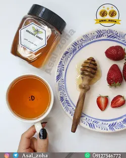 عسل طبیعی گون (500 گرم)