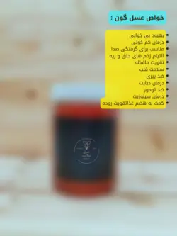 عسل طبیعی گون (500 گرم)