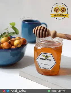 عسل طبیعی کنار (500 گرم)