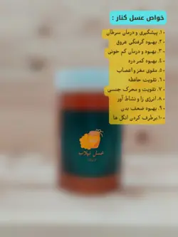 عسل طبیعی کنار (500 گرم)