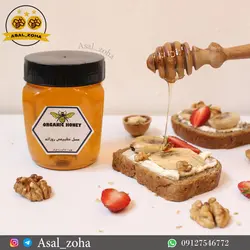 عسل طبیعی روزانه (500 گرم)