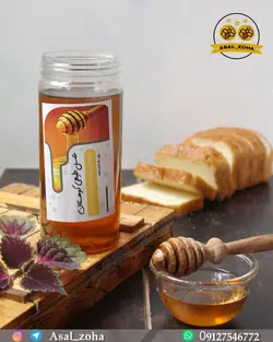 عسل طبیعی کوهستان (1 کیلویی)