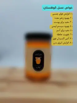عسل طبیعی کوهستان (1 کیلویی)