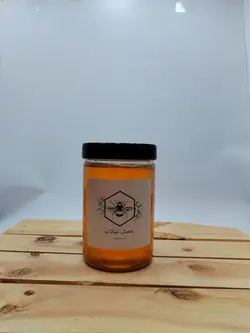 عسل طبیعی کوهستان (1 کیلویی)