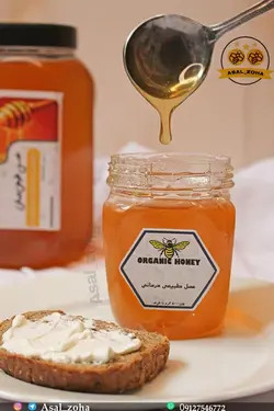 عسل طبیعی درمانی(500 گرم)