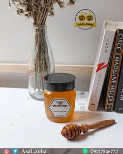 عسل طبیعی درمانی(500 گرم)
