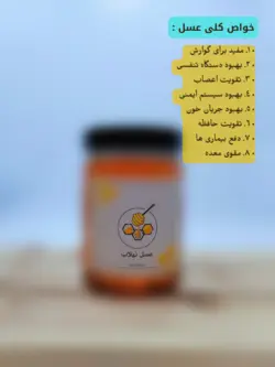 عسل طبیعی روزانه(1 کیلویی)