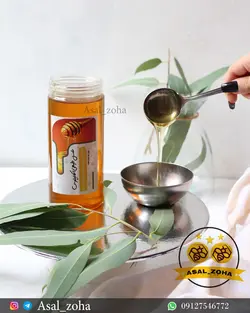 عسل طبیعی اکالیپتوس(یک کیلویی)