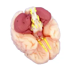 مولاژ مغز و اعصاب 8 قسمتی جنرال داکتر