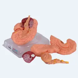 مولاژ مغز و اعصاب 8 قسمتی جنرال داکتر