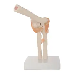 مولاژ مفصل آرنج مدل XC-112
