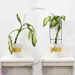 قیم نگهدارنده فلزی گیاه