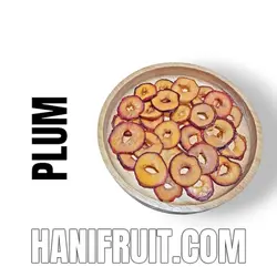 میوه خشک الو شابلون اسلایس