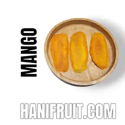 میوه خشک انبه قلم اسلایس (عمده)